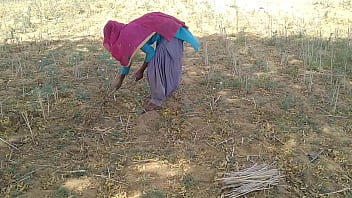 खेत में काम करती हुई उसकी देसी बॉयफ्रेंड ने मस्त चोदा